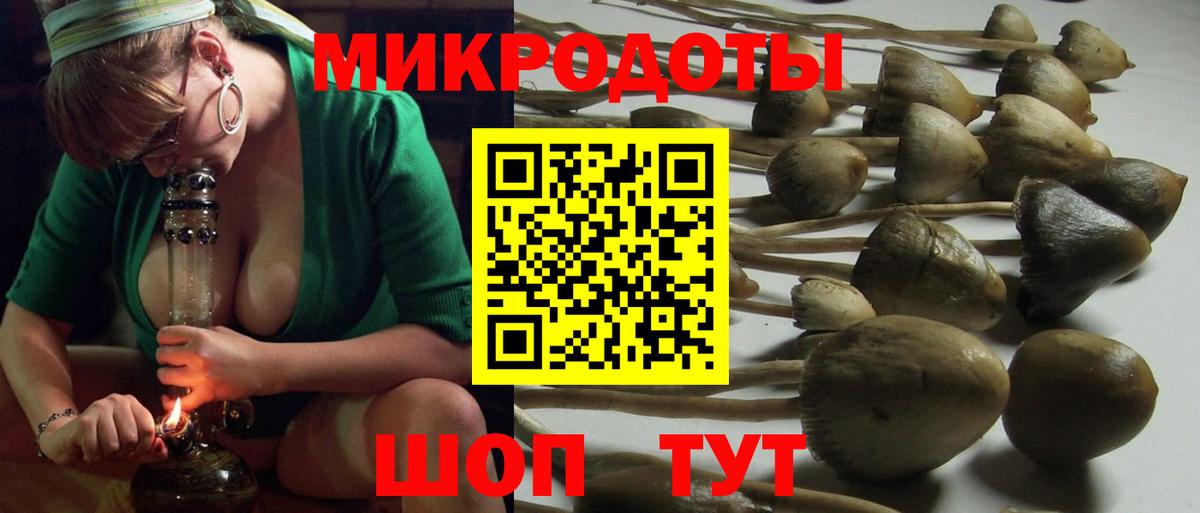 Галлюциногенные грибы Magic Shrooms  Вход с VPN  Ярославль  где найти   Псилоцибиновые грибы Psilocybe 